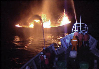 �C��h�ЁE�C�m���̕ۑS 