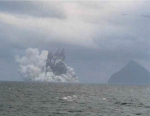 �C��h�ЁE�C�m���̕ۑS 