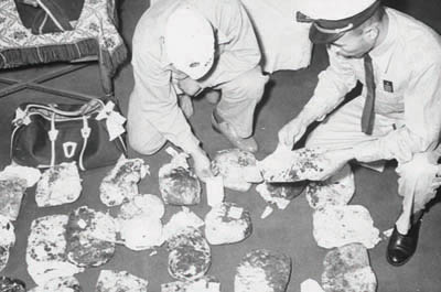 ���A�i�̉���