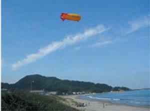 �Ď�����