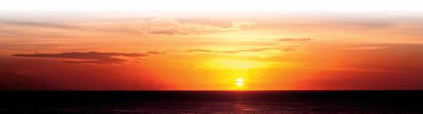 �������ɒ��ޑ��z