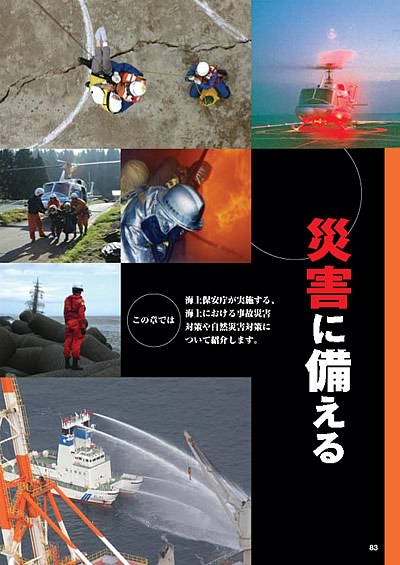 �ЊQ�ɔ�����