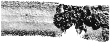 �}���`�r�[���������[�f�[�^����쐬���ꂽ���Ր}