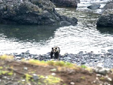 ��������Њd����q�O�}