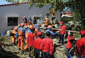 �n��NGO�Ƌ��͂����{���~�������i�^�C�j