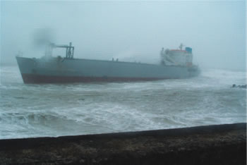 �j�l�ɍ��ʂ����p�i�}�Љݕ��DFUKUOHSIN No.7�v