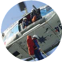 �z�C�X�g�}��