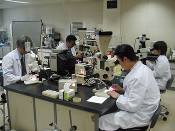 �C��ۈ����������Z���^�[�̐E��