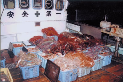 �������ꂽ�т���