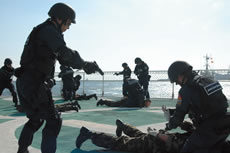 ����Ԓ��Ɏ��{���ꂽ�W���P���̗l�q