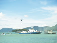 �}���[�V�A�C��@�ߎ��s���ɂ��~���P��