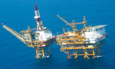 �~�i�������F�V�O�V�j�K�X�c�Ɍ��݂��ꂽ�C�m�\�z��