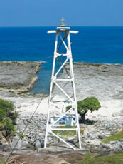 ���ޓ�����