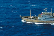 �����C�m�����D�u�Ȋw1���v