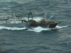 強行接舷する巡視艇