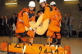 ����~����ɂ��P��