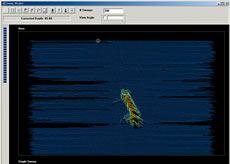 �}���`�r�[���������[�@���