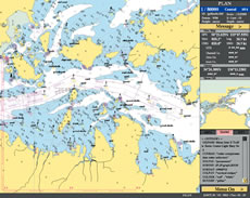 �q�C�p�d�q�C�}�̕\����