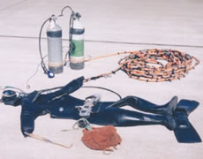 �����Ɏg�p�����������