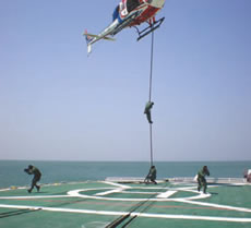 3�����A�g�P��