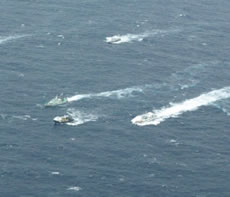 �ǐՒ��̏����D��