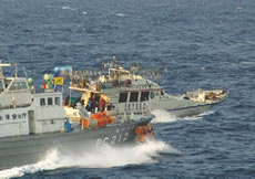 �x�����̏�����