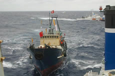 �̗L���咣�����ƑD��