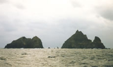 �����i�����A���j�A�����i�j���A�E�j