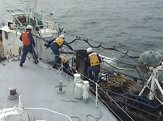 �s�@���ƊO�����D�ւ̋��s�ڌ�