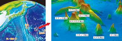 �����C��n�`�����ɂ���Ĕ������ꂽ�C�R�i�t�̎����C�R�j