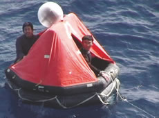 �������ꂽ��D��