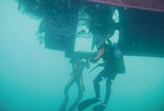 �������