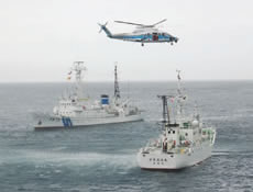 �W���P��