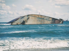 �����`���O���ݕ��D�C��