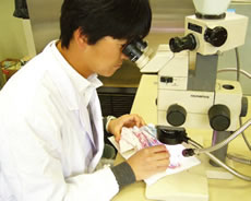 �h���Ђ̊Ӓ�