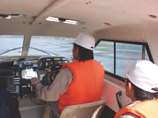 ���^�D�����c���K