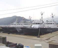 �����c�̂��߂ɏW�������Δn�C��ۈ����̏�����