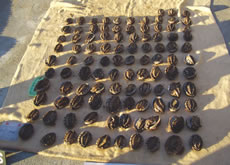 �������������