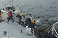 �s�@���ƊO�����D�ւ̋��s�ڌ�