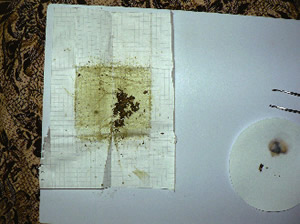 ���������喃