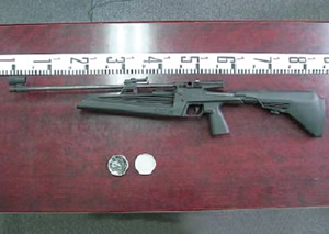 ����������C�e�Ƌ������e��