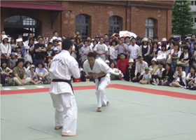 �C�_�Ղł̑ߕߏp����