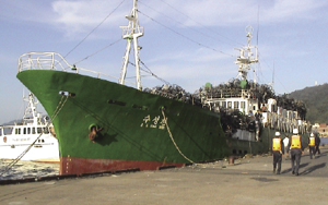 ���`���̖k���N�Ђ̉ݕ��D 