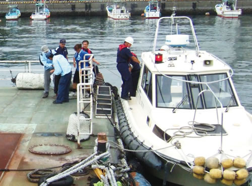 �v�~���҂̋~�}���ւ̈��p��