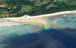 �V�[�}�[�J�[�𓊓�