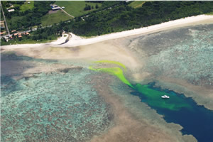 ���[�t�̊O���Ɍ������ė���o��