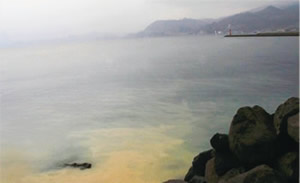 �C�ɗ��ꍞ�މ���