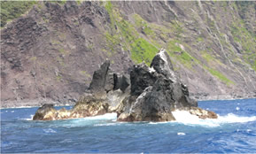 �연�����ߖT�̎O����