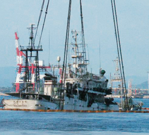 �Փ˂��A���v��Ɉ����グ����u�킩���܂ˁv