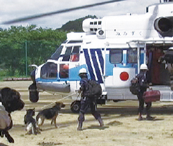 �ЊQ�~�����̗A��